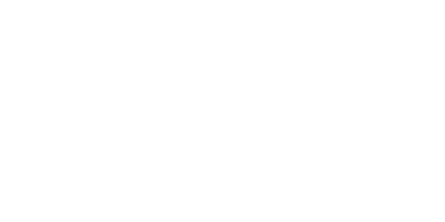 fastlink